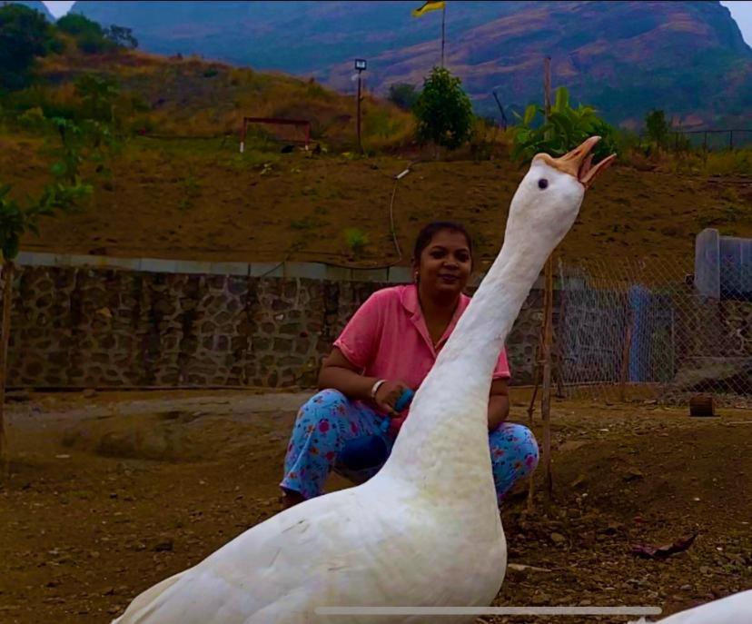Jandyal Farm House Malshej Ghat Exterior foto